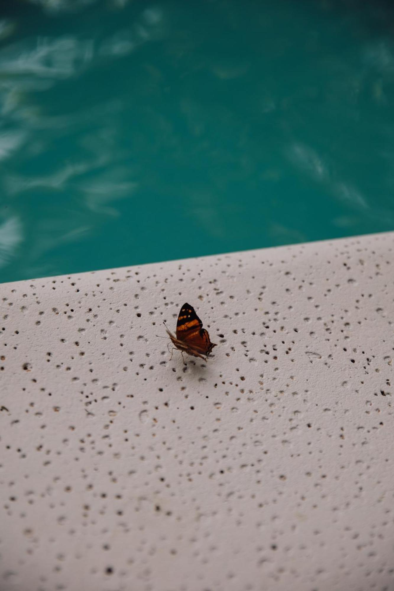 Tierra Guarani Lodge Puerto Iguazú Eksteriør billede